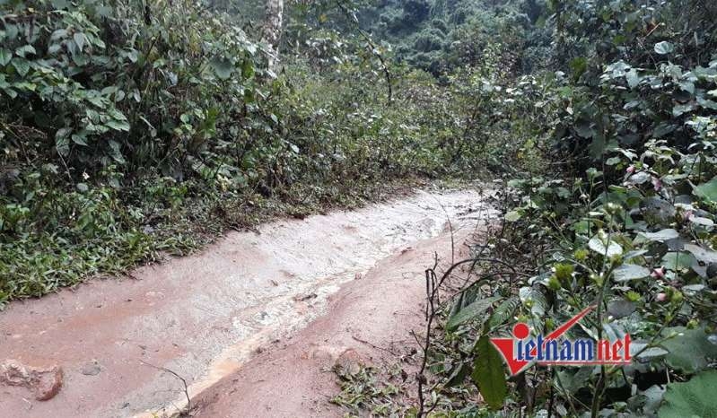 Đời cửu vạn vùng biên: Bí mật ở con đường bán sức kiếm tiền triệu mỗi đêm doi cuu van vung bien bi mat o con duong ban suc kiem tien trieu moi dem