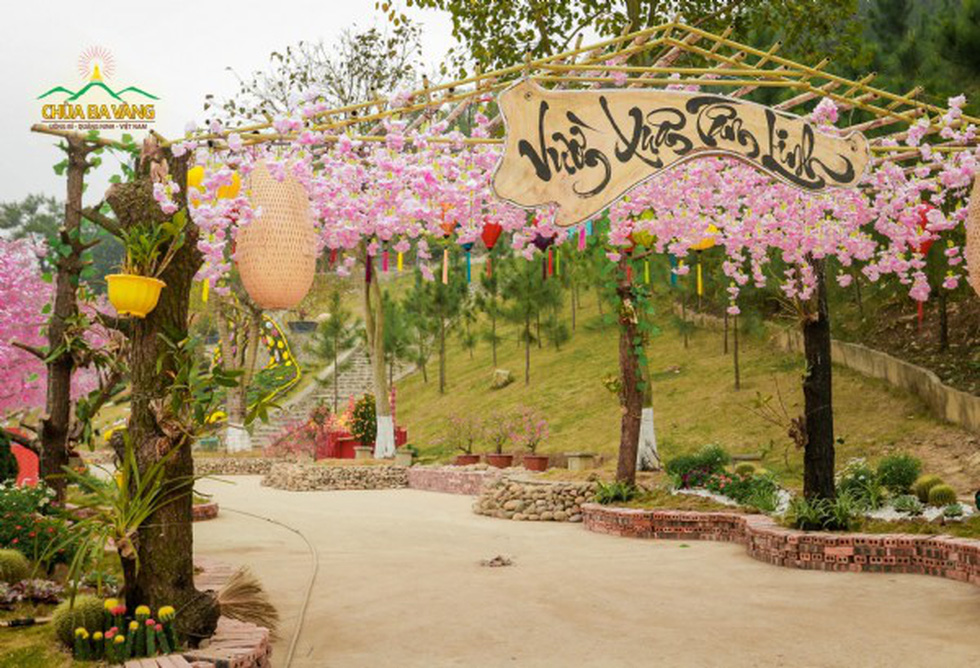 chua ba vang chiem hang chuc ngan met vuong dat rung quoc gia