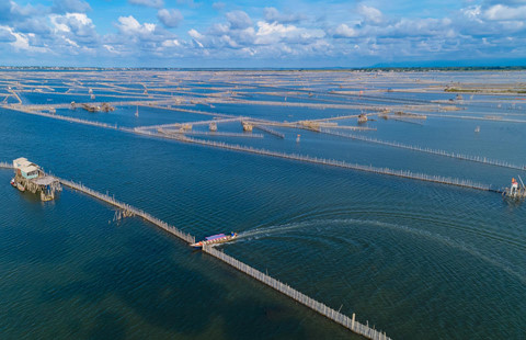 Khám phá Đầm Chuồn - đẹp mê hoặc nổi tiếng xứ Huế kham pha dam chuon dep me hoac noi tieng xu hue