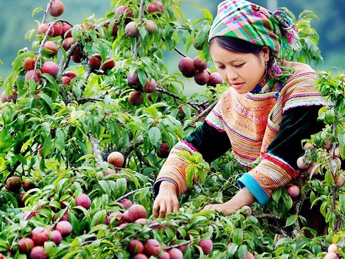 Du lịch 30/4: Thỏa mãn từ “A đến Z” với những địa điểm hấp dẫn gần Hà Nội du lich 304 thoa man tu a den z voi nhung dia diem hap dan gan ha noi