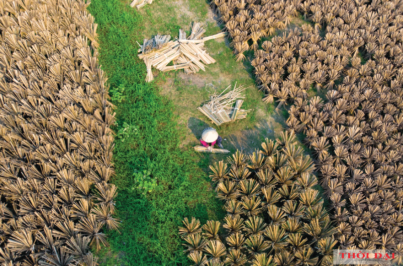 Làng nghề tăm hương Việt Nam đẹp rực rỡ dưới nắng hè lang nghe tam huong viet nam dep ruc ro duoi nang he