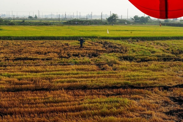 Cố đô Huế nhìn từ khinh khí cầu ngày nghỉ lễ co do hue nhin tu khinh khi cau ngay nghi le
