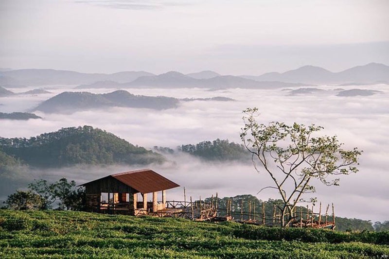 cau go san may ngung nhan khach tham quan hoi chuong canh bao ve y thuc cua nguoi tham gia