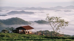 "Cầu gỗ săn mây" ngừng nhận khách - hồi chuông cảnh báo về ý thức của người tham gia