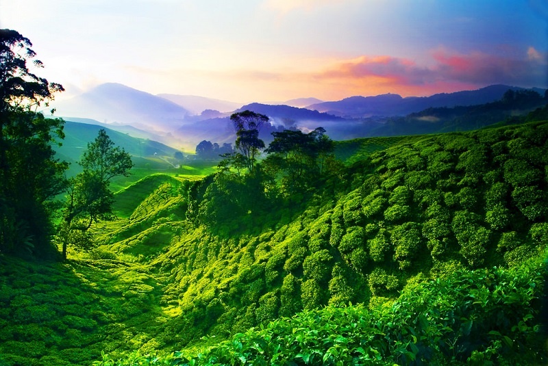 Tận hưởng hè trọn vẹn với những điểm du lịch nước ngoài đẹp "quên lối về" tan huong he tron ven voi nhung diem du lich nuoc ngoai dep quen loi ve
