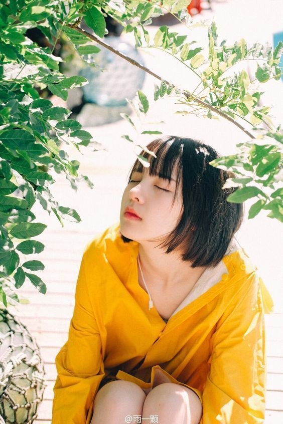 tu vi hom nay 205 cua 12 con giap tuoi dan yeu doi tuoi dau nhan nha