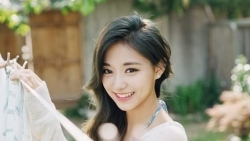 tu vi hom nay 295 ve cong viec cua 12 con giap tuoi thin nen kim che tham vong tuoi ty be tac