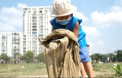 Dọn rác theo trend - nguy hiểm rình rập, lợi dụng để câu view?