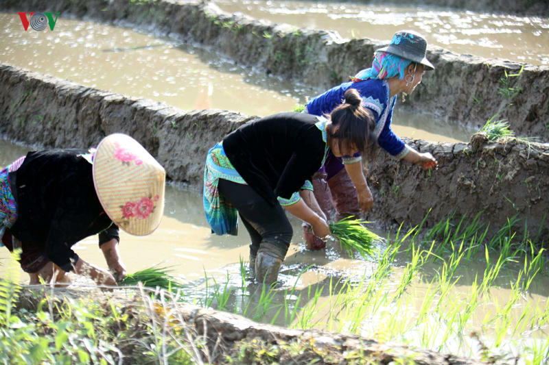 anh mua nuoc do lai chau lam xieu long du khach