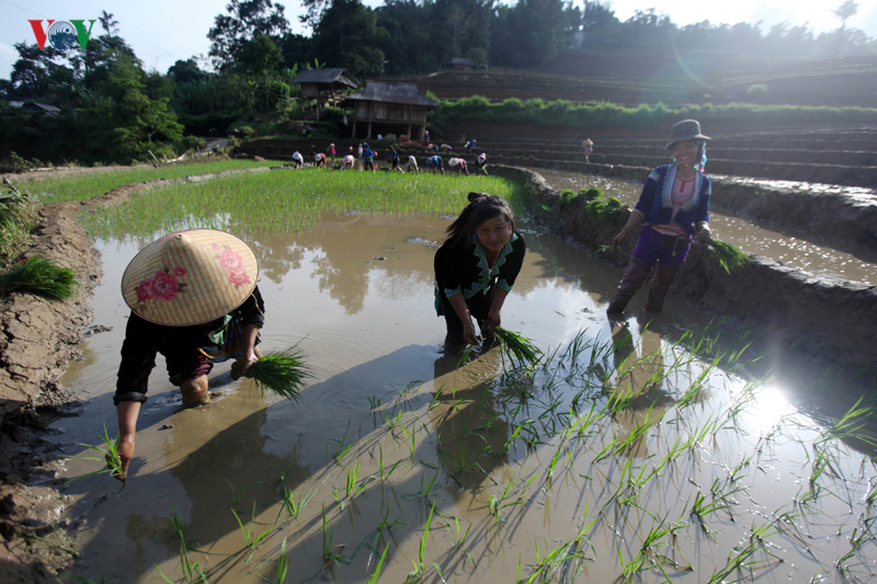 anh mua nuoc do lai chau lam xieu long du khach
