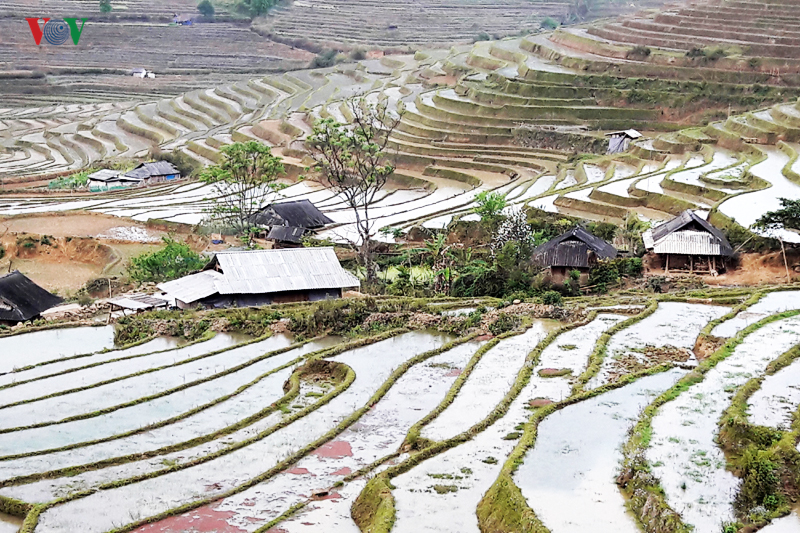 anh mua nuoc do lai chau lam xieu long du khach