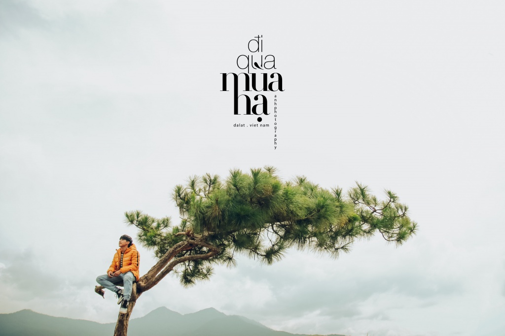 Đà Lạt đẹp mơ màng trong nắng hạ qua lăng kính của nhiếp ảnh trẻ 9X da lat dep mo mang trong nang ha qua lang kinh cua nhiep anh tre 9x