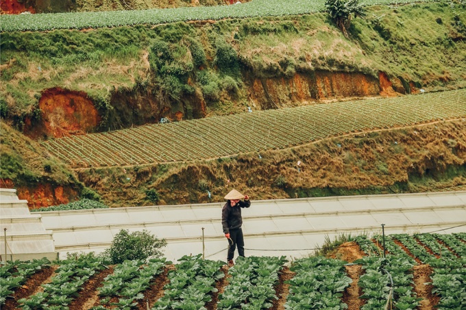 Đà Lạt đẹp mơ màng trong nắng hạ qua lăng kính của nhiếp ảnh trẻ 9X da lat dep mo mang trong nang ha qua lang kinh cua nhiep anh tre 9x