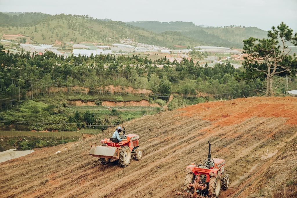 Đà Lạt đẹp mơ màng trong nắng hạ qua lăng kính của nhiếp ảnh trẻ 9X da lat dep mo mang trong nang ha qua lang kinh cua nhiep anh tre 9x