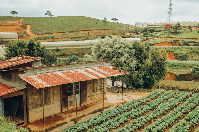 Đà Lạt đẹp mơ màng trong nắng hạ qua lăng kính của nhiếp ảnh trẻ 9X da lat dep mo mang trong nang ha qua lang kinh cua nhiep anh tre 9x