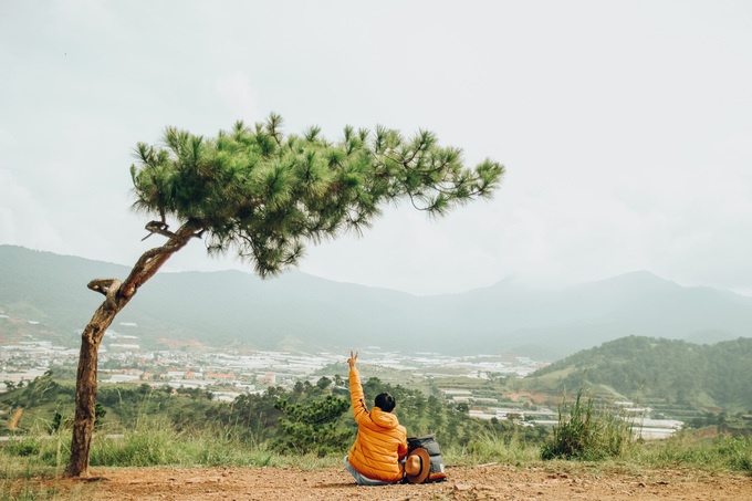 Đà Lạt đẹp mơ màng trong nắng hạ qua lăng kính của nhiếp ảnh trẻ 9X da lat dep mo mang trong nang ha qua lang kinh cua nhiep anh tre 9x