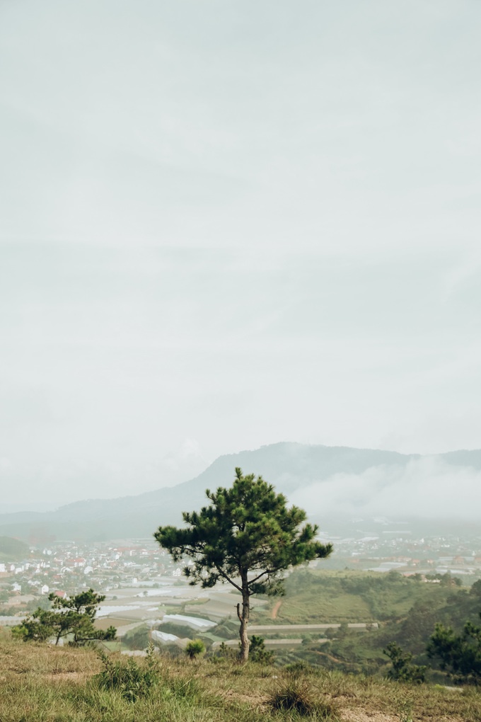 da lat dep mo mang trong nang ha qua lang kinh cua nhiep anh tre 9x