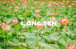 10 bai bien dep nhat viet nam do tap chi forbes binh chon