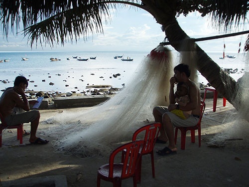 Lưới ba lớp khiến Cù Lao Chàm vắng bóng rùa luoi ba lop khien cu lao cham vang bong rua