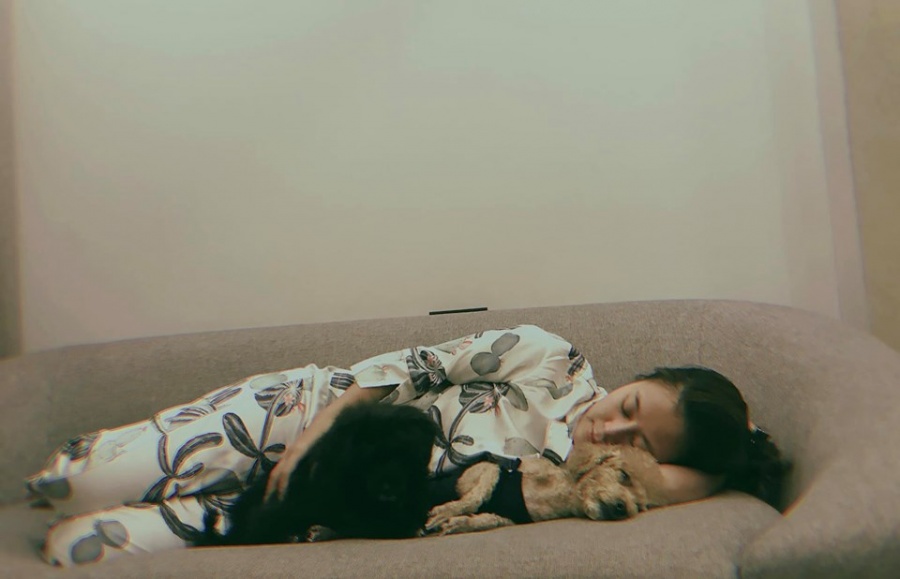 Facebook sao Việt hôm nay (26/7): Mai Thỏ bị 'ném đá', Adrian Anh Tuấn 'tố' Hương Giang Idol 'không có tâm' facebook sao viet hom nay 267 mai tho bi nem da adrian anh tuan to huong giang idol khong co tam