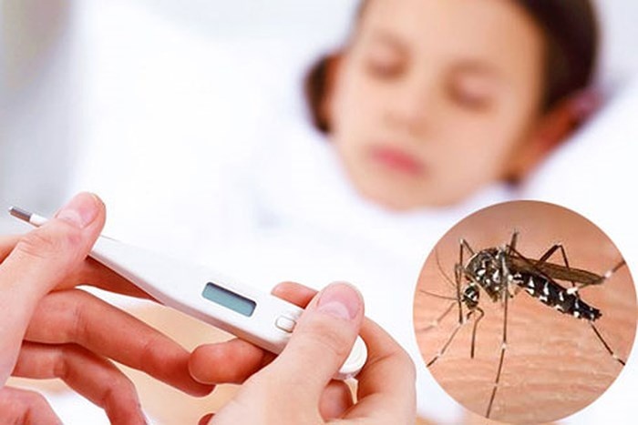 Khi nào Việt Nam có vắc-xin sốt xuất huyết? Giá loại vắc-xin này là bao nhiêu? khi nao viet nam co vac xin sot xuat huyet gia loai vac xin nay la bao nhieu