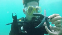 cuoc dua ky thu bi to huy hoai moi truong ban to chuc noi gi