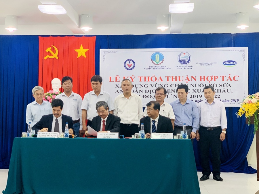 "Resort" bò sữa Tây Ninh là hạt nhân để xây dựng vùng chăn nuôi bò sữa an toàn dịch bệnh resort bo sua tay ninh la hat nhan de xay dung vung chan nuoi bo sua an toan dich benh