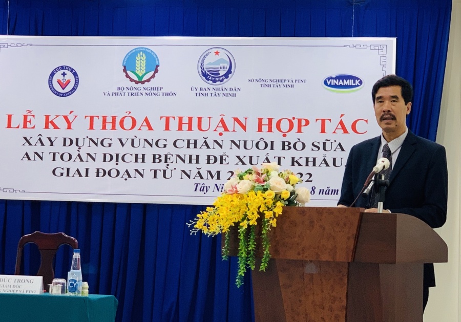 "Resort" bò sữa Tây Ninh là hạt nhân để xây dựng vùng chăn nuôi bò sữa an toàn dịch bệnh resort bo sua tay ninh la hat nhan de xay dung vung chan nuoi bo sua an toan dich benh