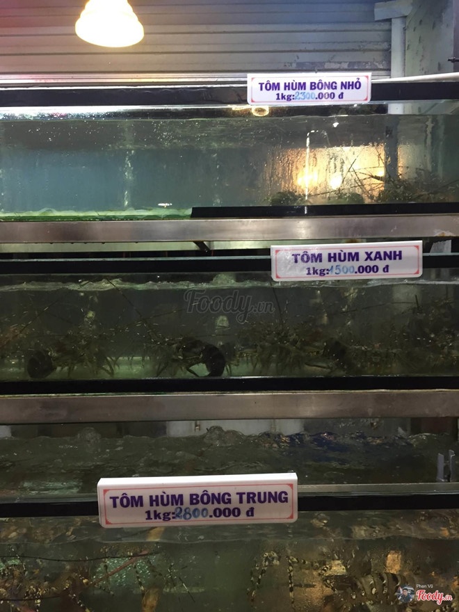 Bị tố 'chặt chém' du khách, quản lý nhà hàng ở Đà Nẵng lên tiếng về hóa đơn hải sản hơn 85 triệu đồng bi to chat chem du khach quan ly nha hang o da nang len tieng ve hoa don hai san hon 85 trieu dong