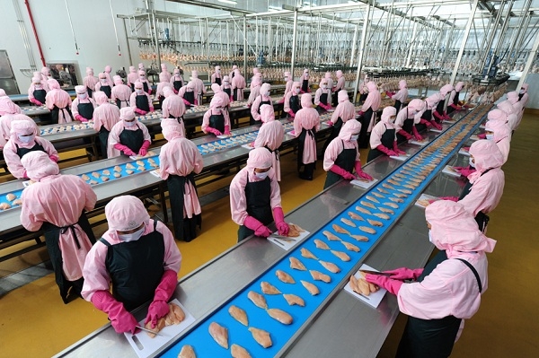 Đi làm dịp nghỉ lễ Quốc khánh 2/9, người lao động được hưởng lương bao nhiêu? di lam dip nghi le quoc khanh 29 nguoi lao dong duoc huong luong bao nhieu