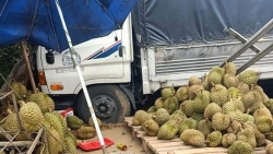 video hai hung nguoi phu nu tu dua dau vao gam xe tai dang cua tren duong