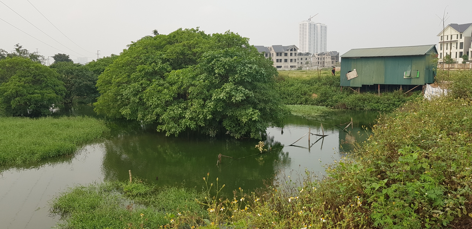 Hàng loạt dự án thu hồi đất khiến người dân ngơ ngác hang loat du an thu hoi dat khien nguoi dan ngo ngac