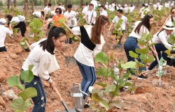 tap doan flc gap mat doan truong cac co quan dai dien viet nam tai nuoc ngoai nhiem ky 2019 2022