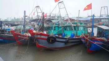ນະຄອນຫາຍຟອງ ເຂັ້ມງວດການຄຸ້ມຄອງກອງເຮືອຫາປາ, ຕັ້ງໃຈທີ່ຈະເຂົ້າຮ່ວມກັບສ່ວນທີ່ເຫຼືອຂອງປະເທດໃນການຍົກເລີກ “ບັດເຫຼືອງ IUU” ຂອງ EC.
