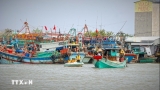 ຍົກເລີກ 'ບັດເຫຼືອງ' ຂອງ IUU: ອານຢາງ ມຸ່ງໝັ້ນທີ່ຈະຮັບປະກັນວ່າບໍ່ມີເຮືອປະມົງທີ່ມີ 