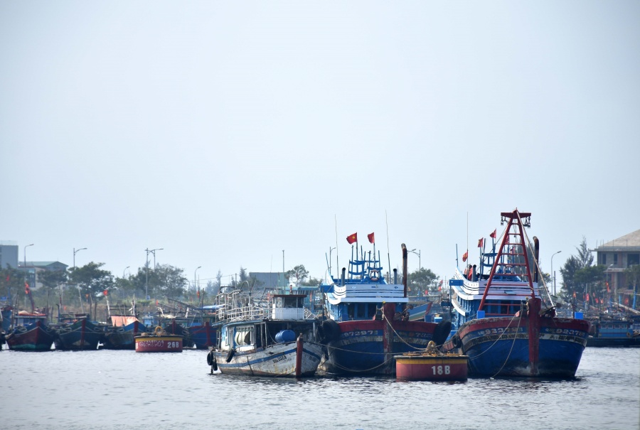 Vươn khơi bám biển gặp khó vì thiếu hụt lao động vuon khoi bam bien gap kho vi thieu hut lao dong