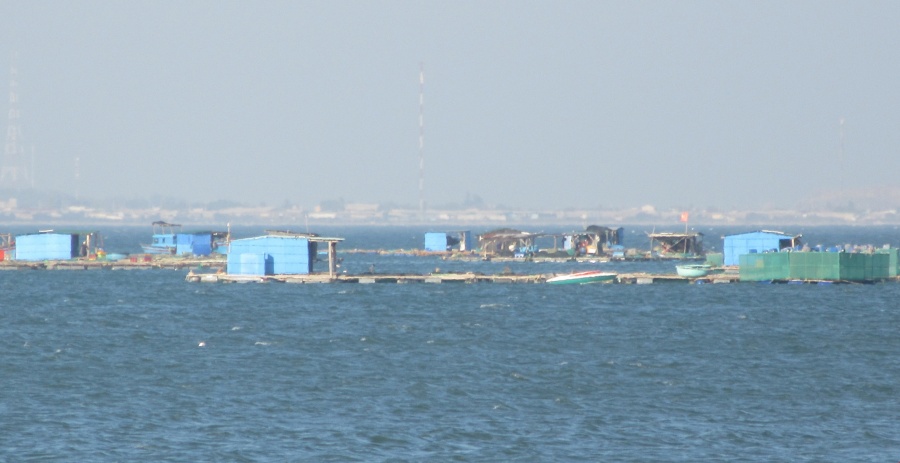 Ninh Thuận kiên quyết di dời lồng bè nuôi thuỷ sản án ngữ bãi biển Bình Sơn ninh thuan kien quyet di doi long be nuoi thuy san an ngu bai bien binh son