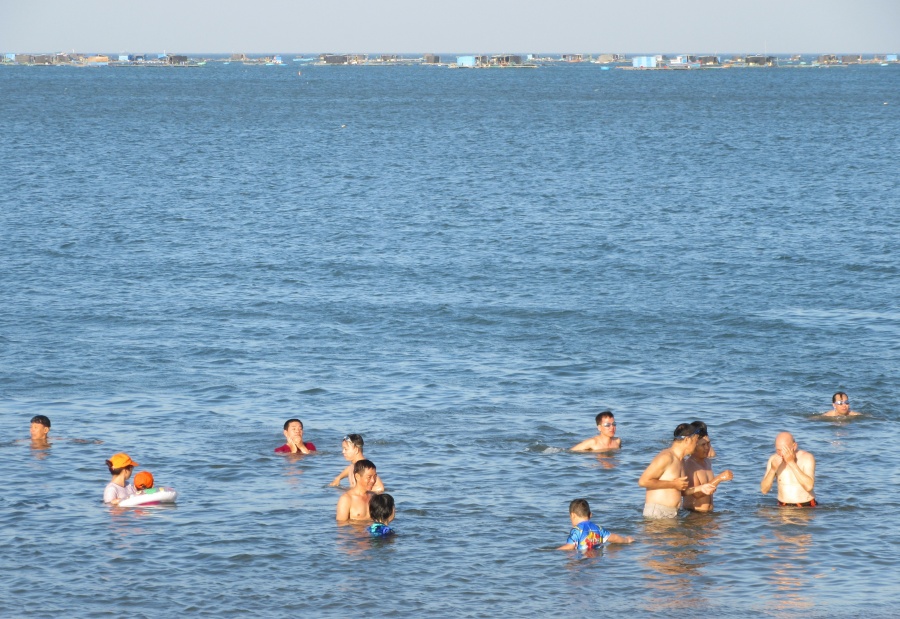 Ninh Thuận kiên quyết di dời lồng bè nuôi thuỷ sản án ngữ bãi biển Bình Sơn ninh thuan kien quyet di doi long be nuoi thuy san an ngu bai bien binh son