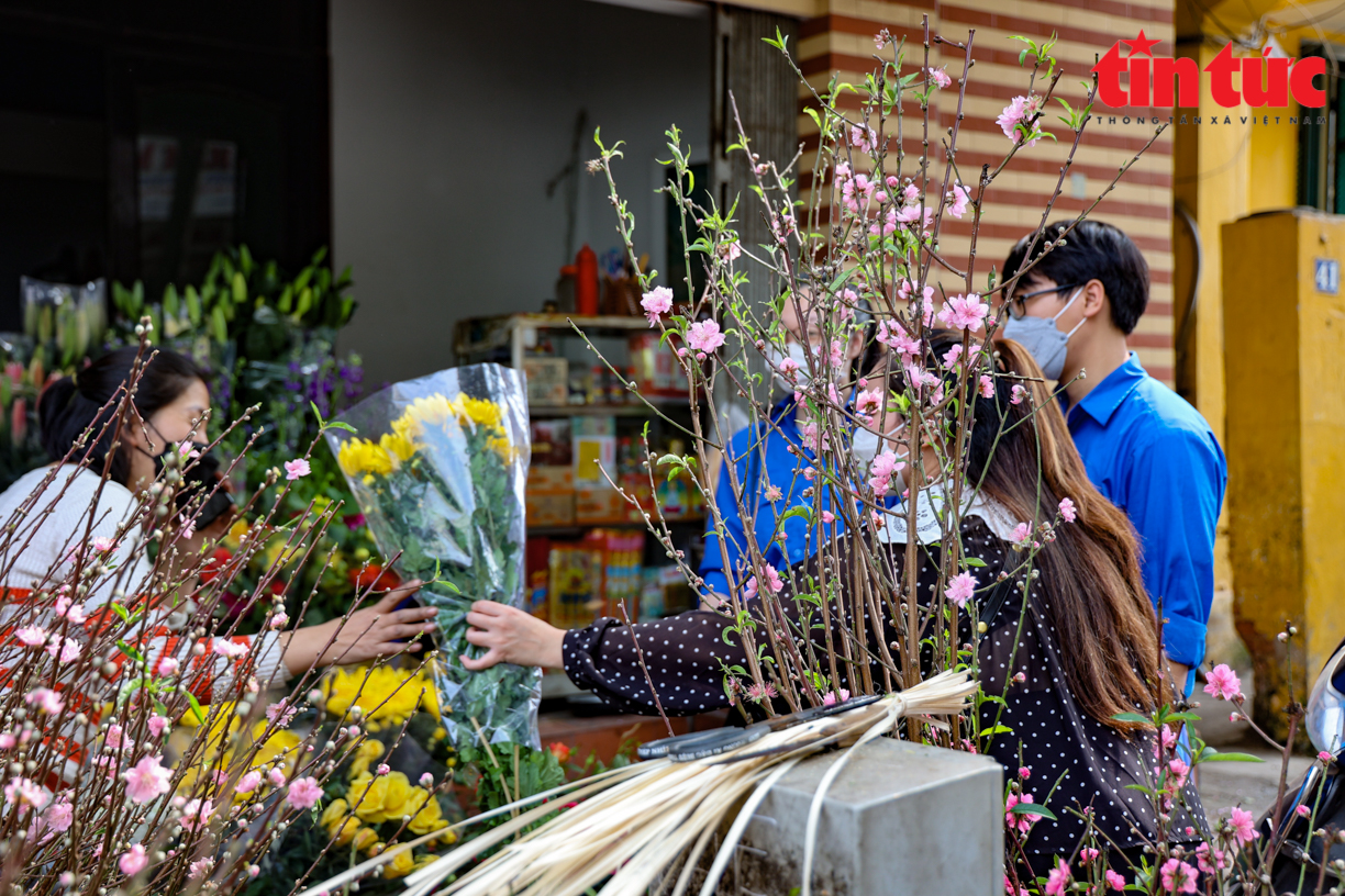 Hà Nội: Mang đào Tết đến tận nhà cho các F0 Chú thích ảnh