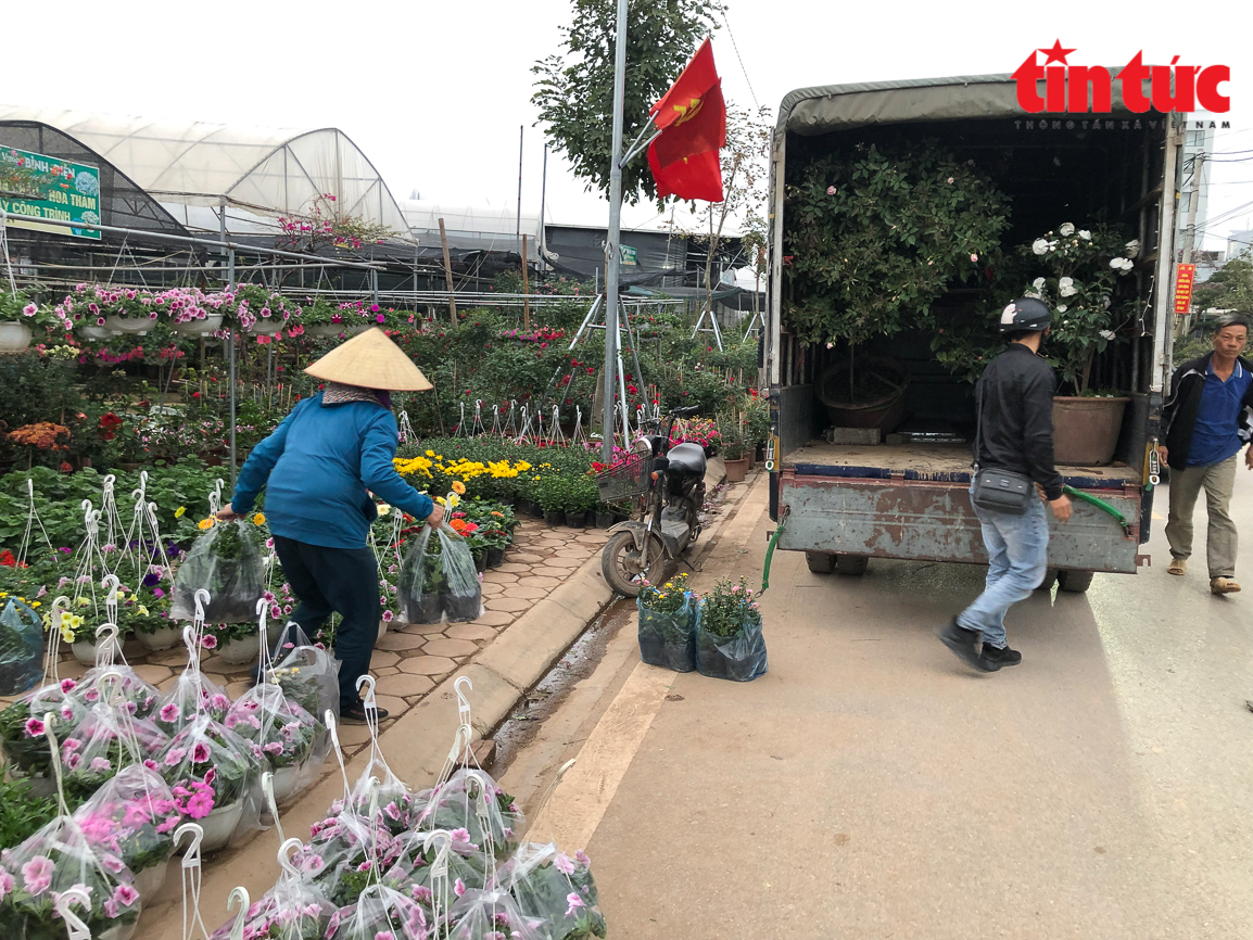 Làng hoa Xuân Quan nhộn nhịp vào vụ Tết Chú thích ảnh