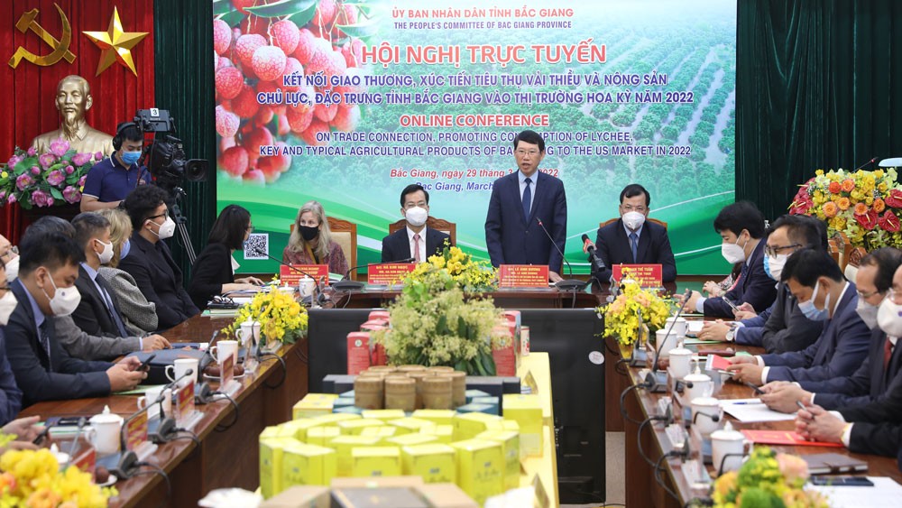 Quang cảnh hội nghị tại điểm cầu trụ sở UBND tỉnh Bắc Giang. Quang cảnh hội nghị tại điểm cầu trụ sở UBND tỉnh Bắc Giang.