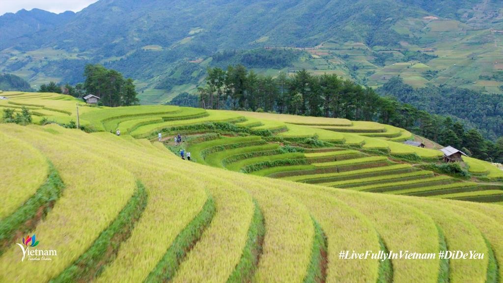 Những thửa ruộng bậc thang trập trùng. Những thửa ruộng bậc thang trập trùng.