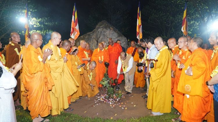 Cây bồ đề thiêng kết nối tình hữu nghị ảnh 1