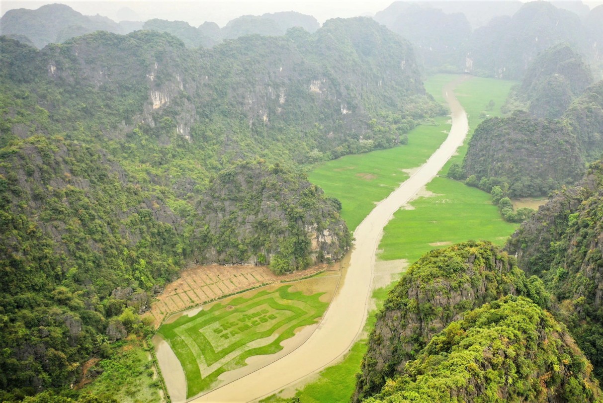 Trầm trồ cánh đồng lúa hình lá cờ hội "khổng lồ" đẹp như tranh ở Tam Cốc Trầm trồ cánh đồng lúa hình lá cờ hội "khổng lồ" đẹp như tranh ở Tam Cốc