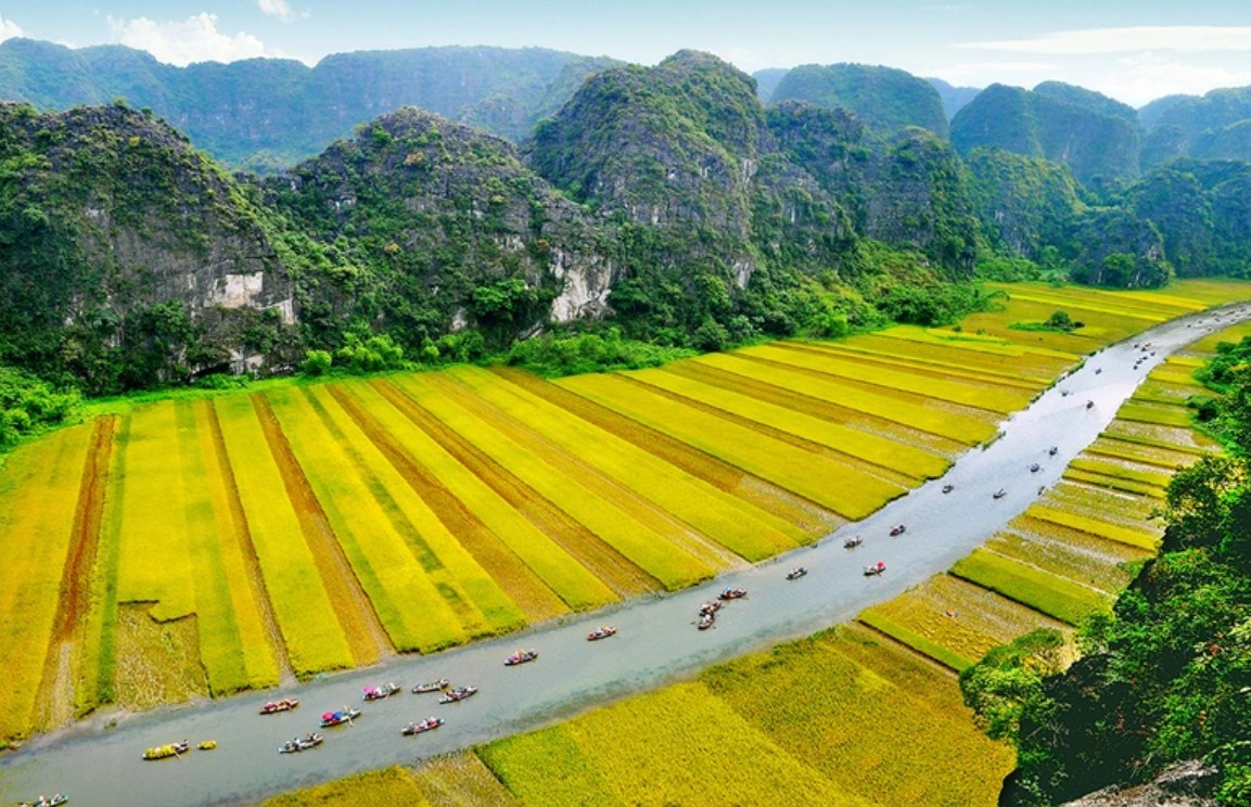 Trầm trồ cánh đồng lúa hình lá cờ hội "khổng lồ" đẹp như tranh ở Tam Cốc Trầm trồ cánh đồng lúa hình lá cờ hội "khổng lồ" đẹp như tranh ở Tam Cốc