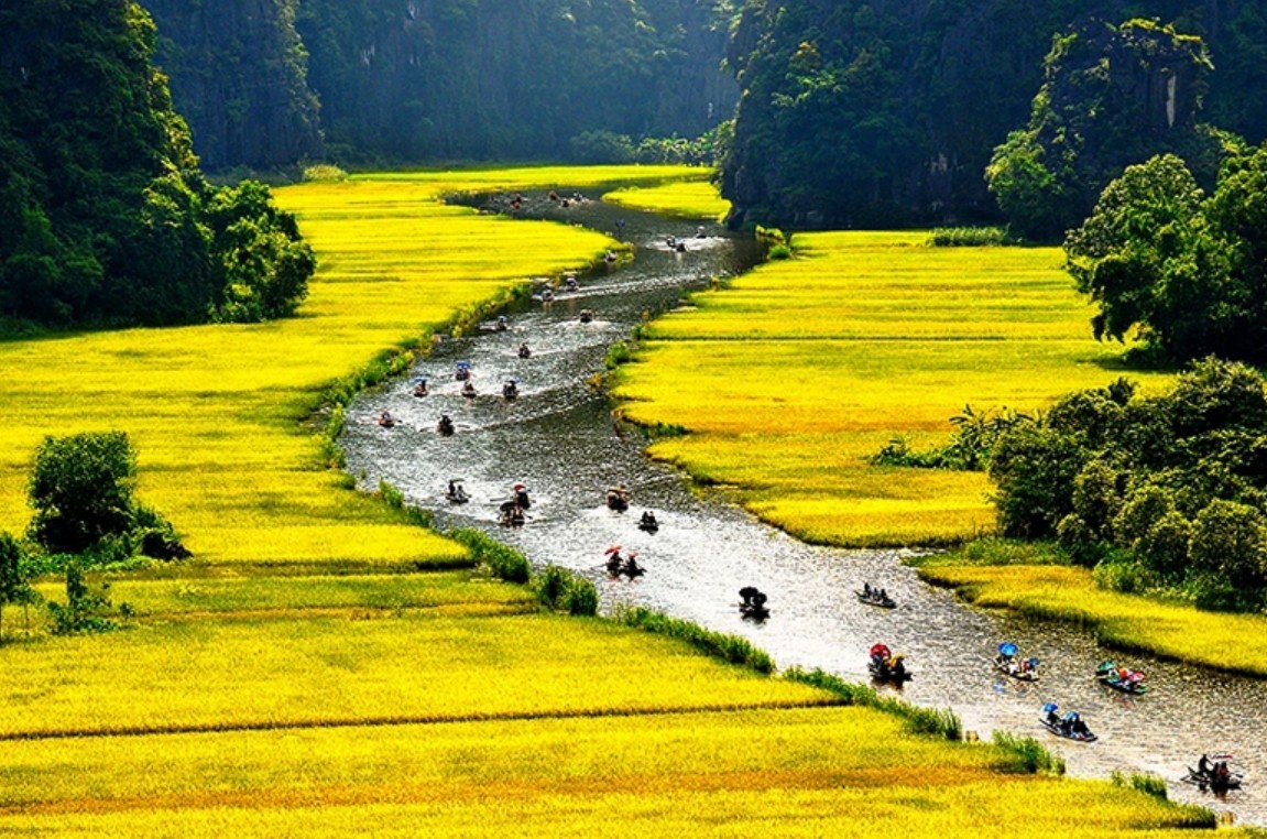 Trầm trồ cánh đồng lúa hình lá cờ hội "khổng lồ" đẹp như tranh ở Tam Cốc Trầm trồ cánh đồng lúa hình lá cờ hội "khổng lồ" đẹp như tranh ở Tam Cốc