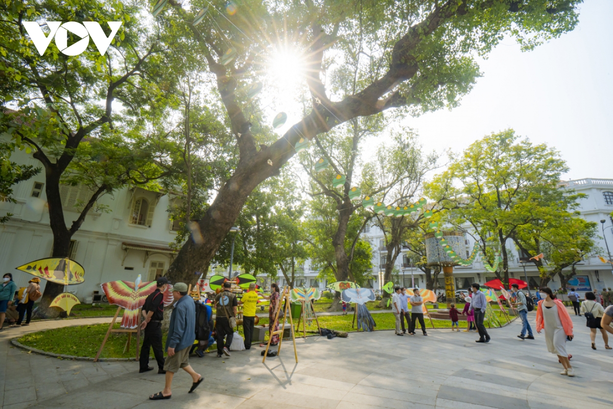 Choáng ngợp với những con diều 