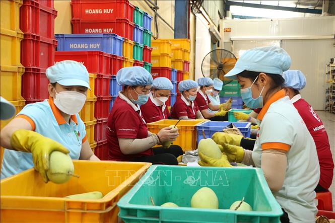 Kết nối giao thương các doanh nghiệp tỉnh Long An (Việt Nam) và Vân Nam (Trung Quốc) Chú thích ảnh