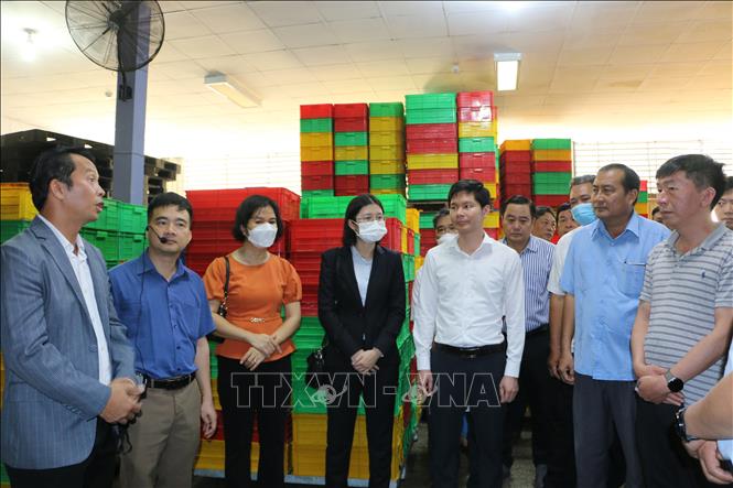 Kết nối giao thương các doanh nghiệp tỉnh Long An (Việt Nam) và Vân Nam (Trung Quốc) Chú thích ảnh