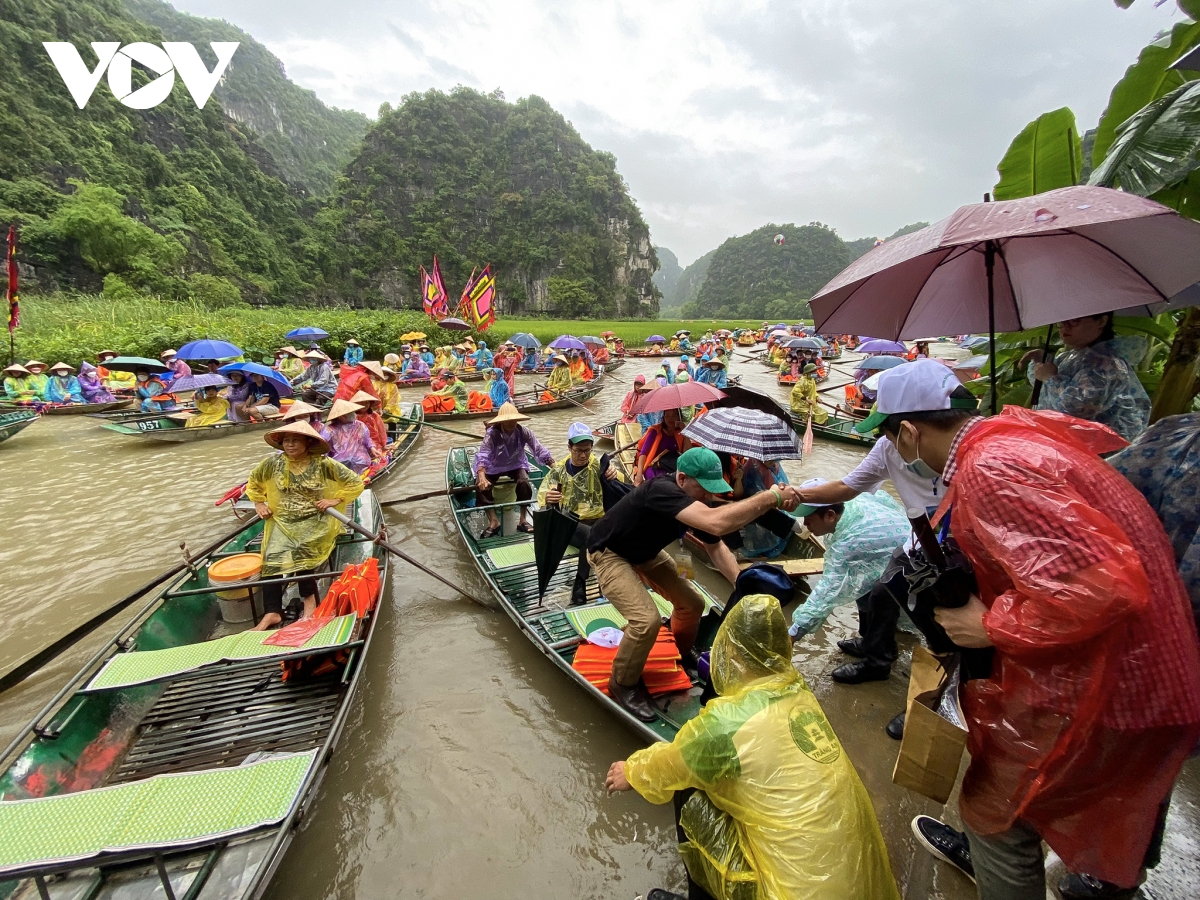 Hàng nghìn du khách đội mưa ngắm lúa trong ngày khai hội 